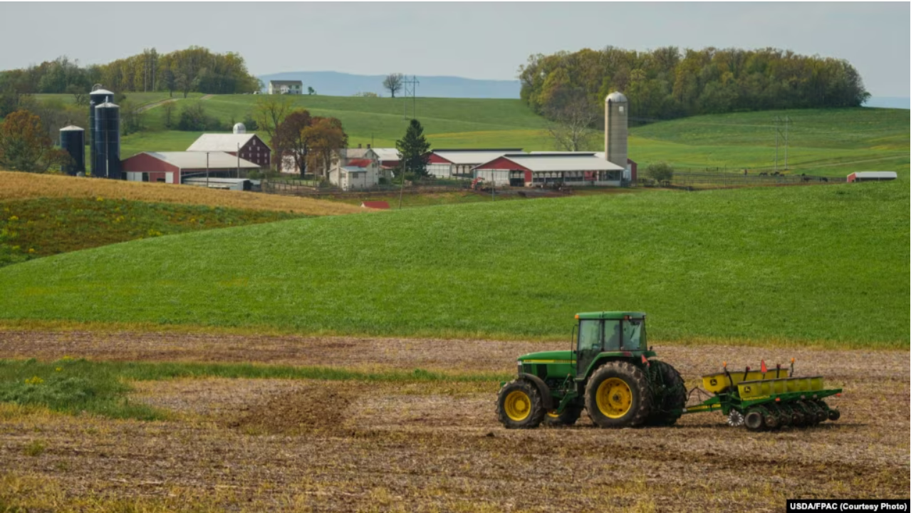 美国农业部长称美中大豆采购协议即将敲定