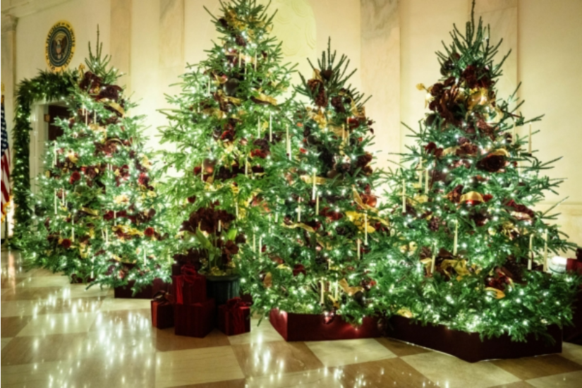 川普下令新增两联邦假日 您会获得带薪休假？