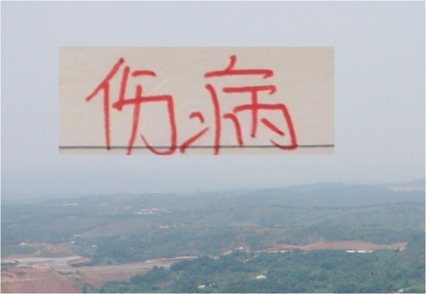 上海双雄2025！都有因伤不如意球星 海港有球王 申花有2024本土标王