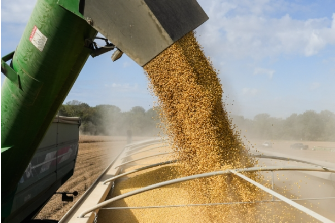 中国购买更多美国大豆 总计近1000万吨