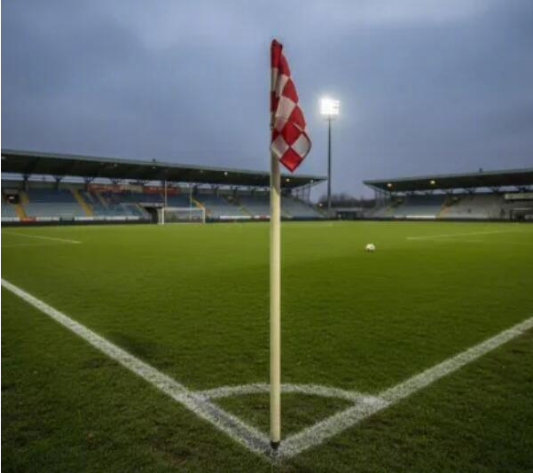 意大利球队经理将角旗杆塞裁判裤裆，被禁入场两年