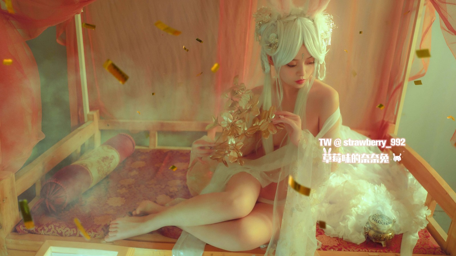 草莓味的奈奈兔《幻》